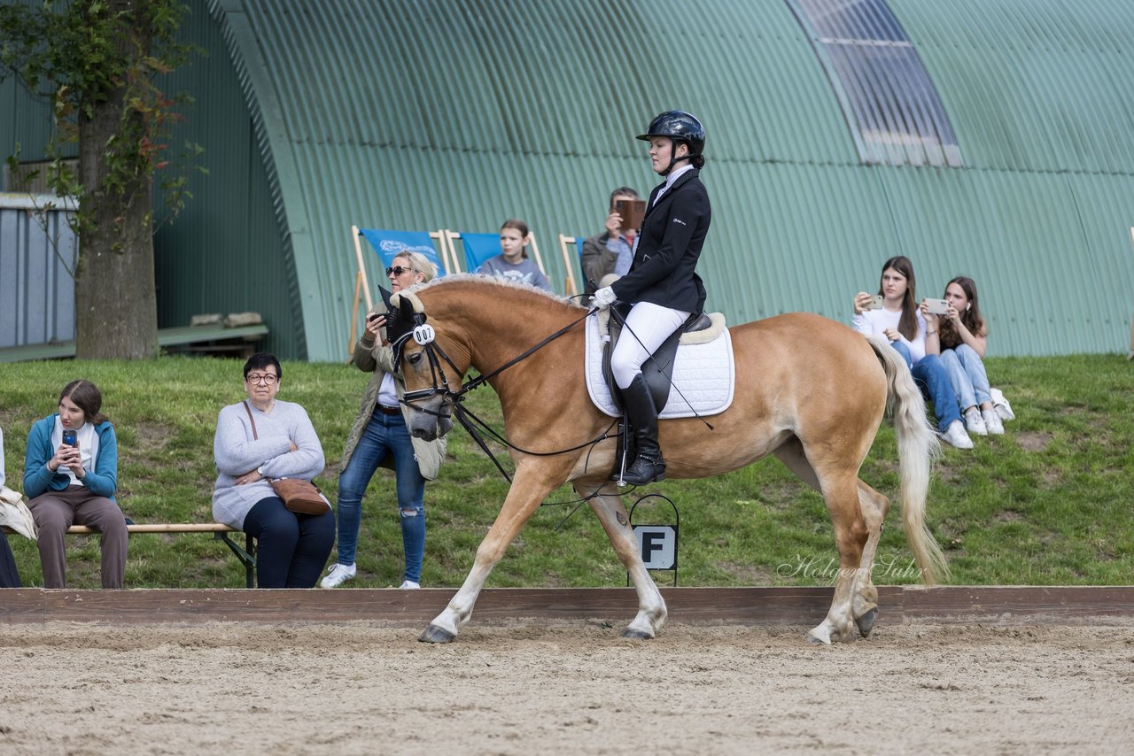 Bild 209 - Pony Akademie Turnier
